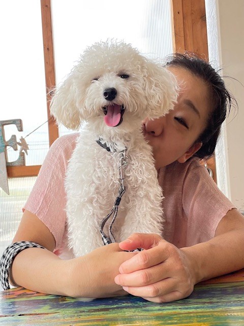 妹 由美子